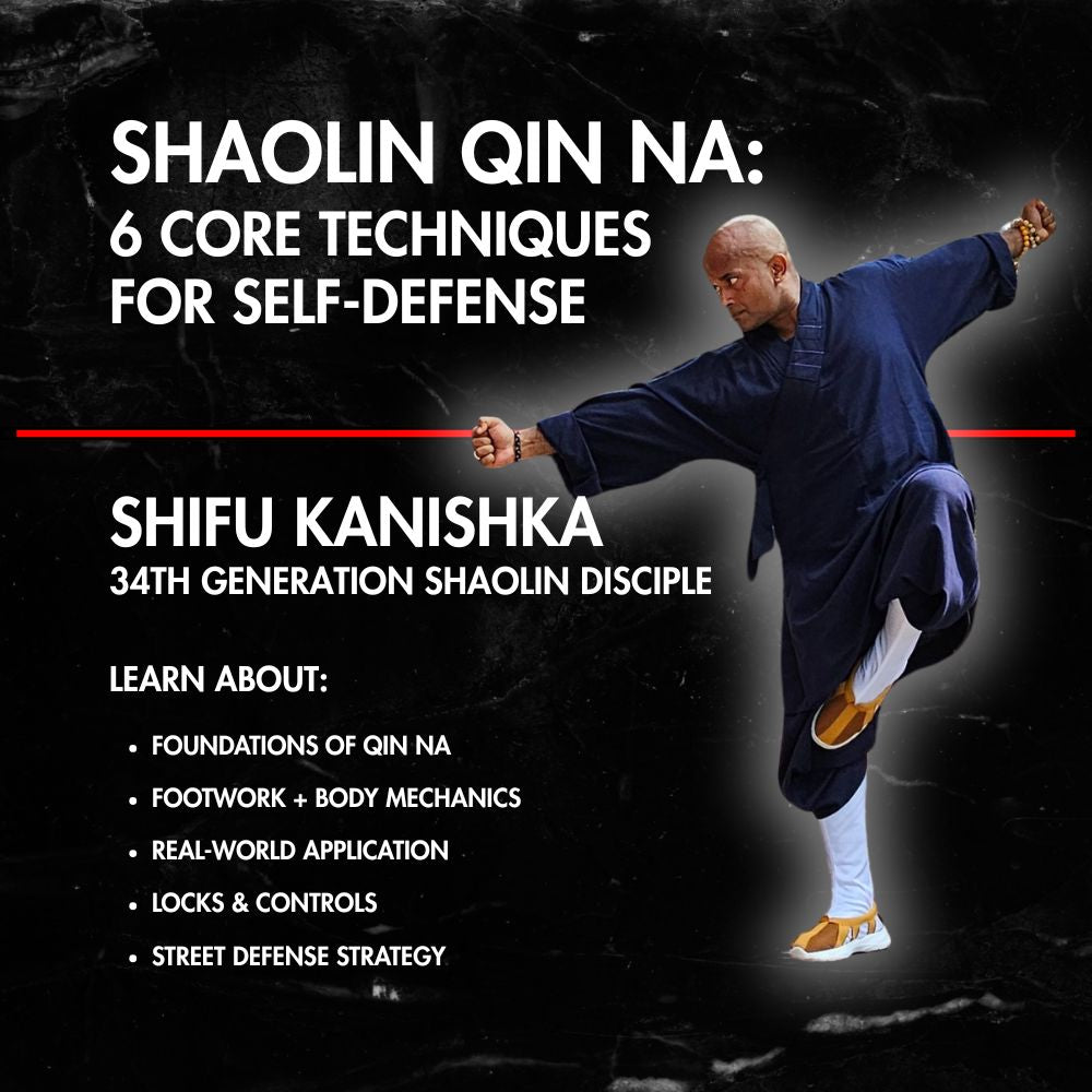 Shifu Kanishka: Shaolin Qin Na | 6 Core Techniques for Self-Defense