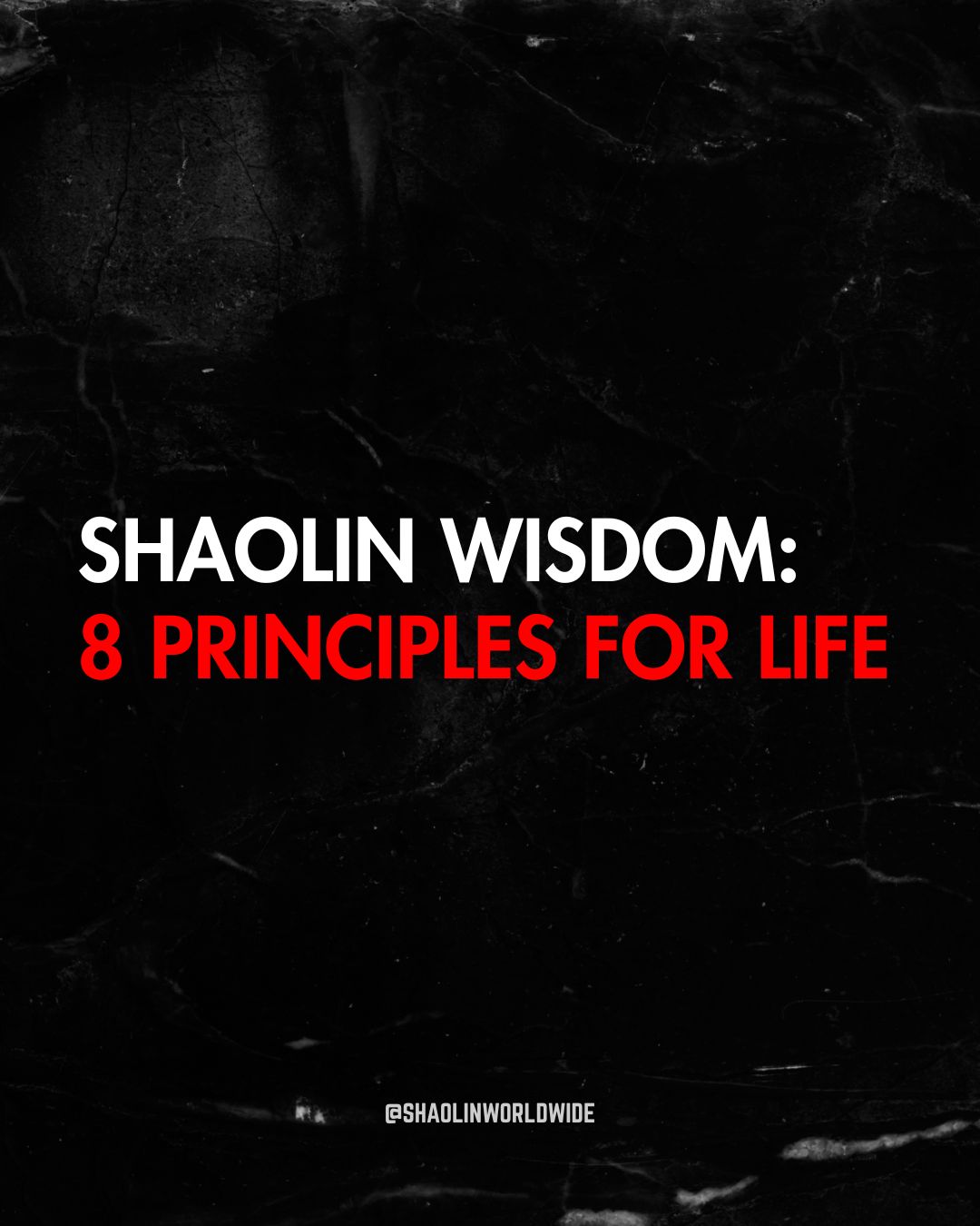Shaolin Wisdom:  8 Principles for Life